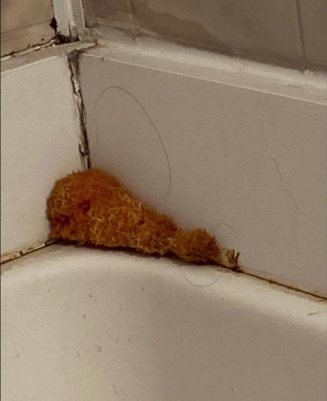 Screenshot 2025-03-11 130520.png