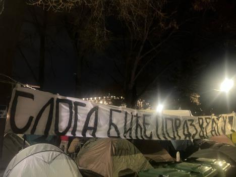 WhatsApp Image 2025-03-12 at 8.04.56 PM.jpeg