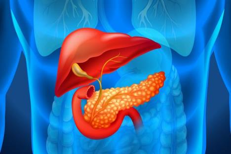 Ilustracija pankreasa