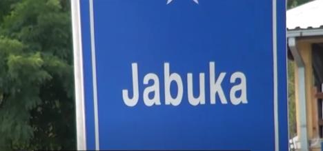 jabuka prijepolje.jpg