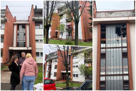 collage.jpg