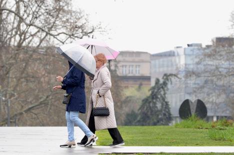 WhatsApp Image 2025-03-25 at 11.57.00 AM (3).jpeg