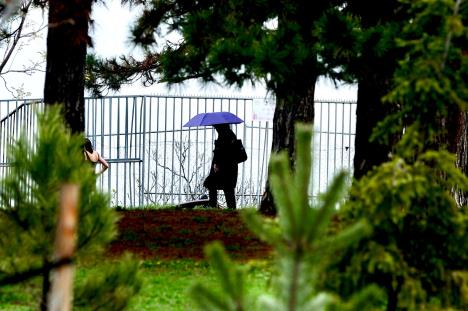 WhatsApp Image 2025-03-25 at 11.57.00 AM (1).jpeg