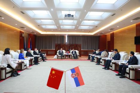 WhatsApp Image 2025-03-25 at 4.32.58 PM (5).jpeg