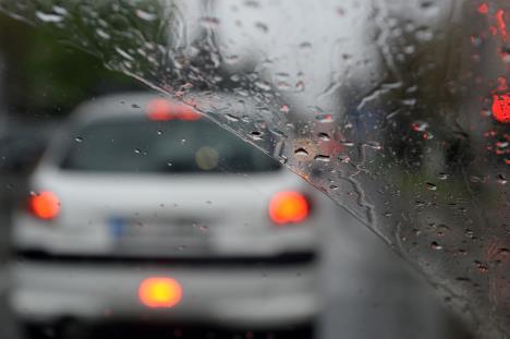 WhatsApp Image 2025-03-26 at 4.18.20 PM.jpeg