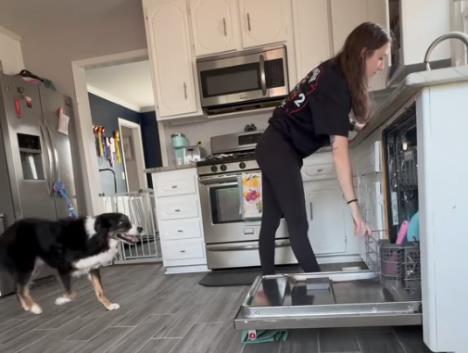 Pas spasao svoju vlasnicu 1.jpg