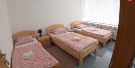 stanaru ostavio kuću, auto i zemlju tv živa istina 9.jpg