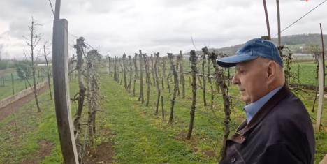 stanaru ostavio kuću, auto i zemlju tv živa istina 5.jpg