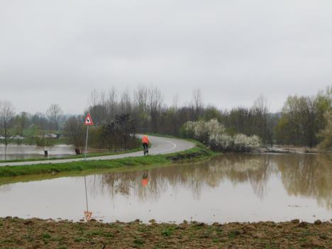 LOZNICA - Bradić.JPG