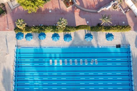 Desert Rose 2025.6.jpg