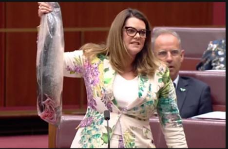 Screenshot 2025-03-30 164345.jpg