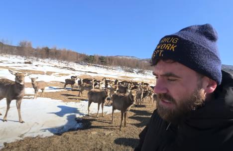 Screenshot 2025-03-31 121544.png