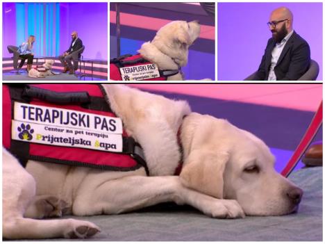 Tarapeutski pas 5.png