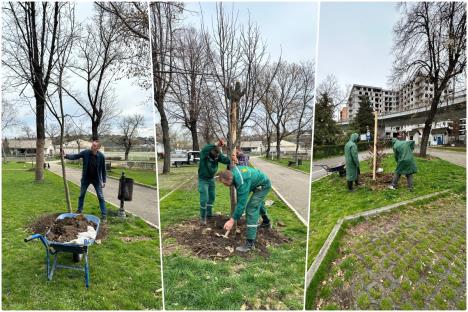 Obnavljanje parka JP Hipodroma Beograd.jpg