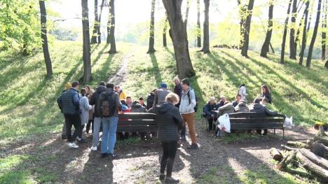 puls clean.01_12_52_03.Still009.jpg