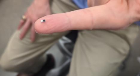 Screenshot 2025-04-03 210819.jpg