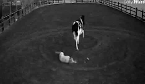 Screenshot 2025-04-04 183524.jpg