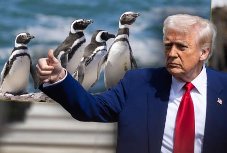 donald trump.jpg