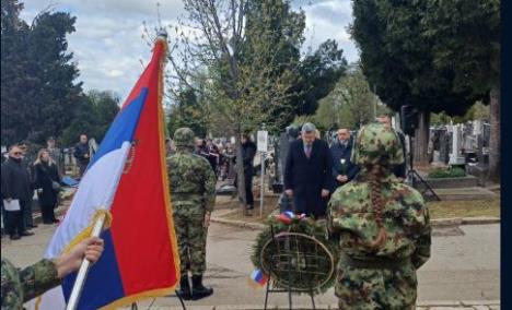 nemanja starović.jpg