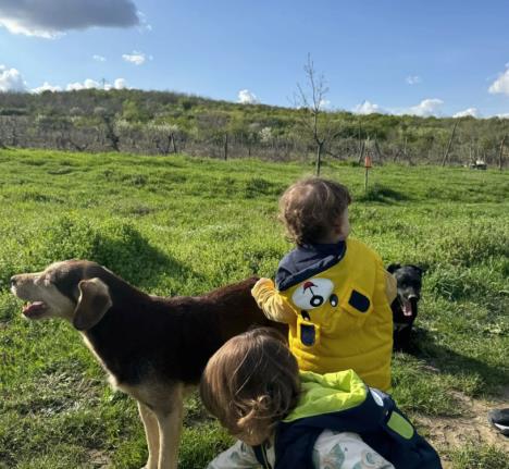 Screenshot 2025-04-06 162858.jpg