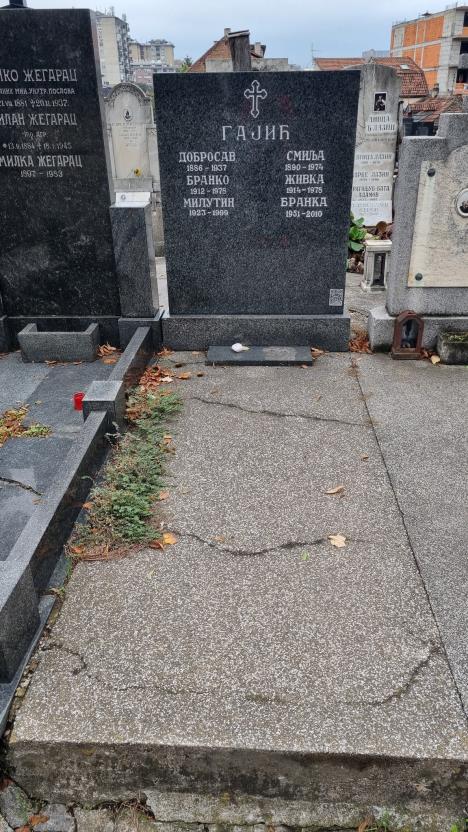 Gajic grobnica.jpg