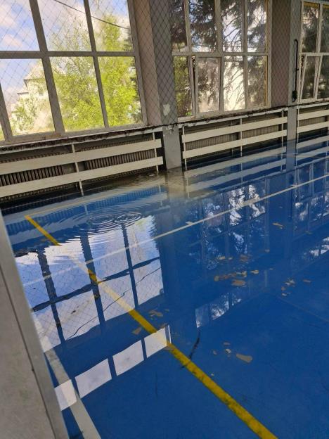 WhatsApp Image 2025-04-08 at 09.56.40_94b35a2e.jpg