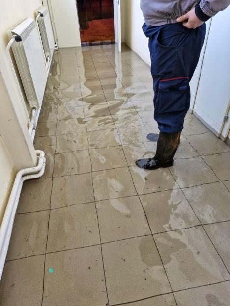 WhatsApp Image 2025-04-08 at 09.56.33_2b987389.jpg