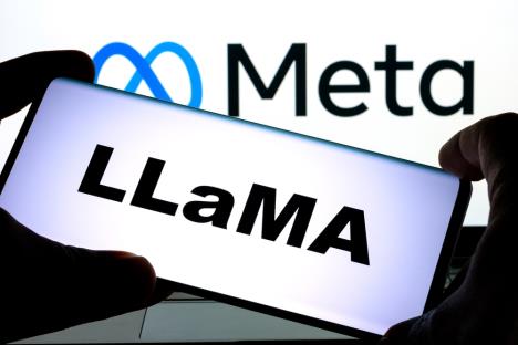 Meta Llama.jpg