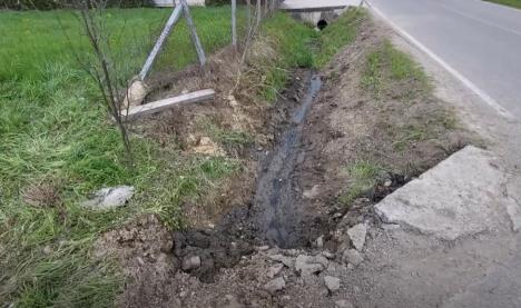 Screenshot 2025-04-08 175536.jpg