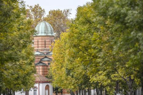 Aplikacija Novo groblje 109 copy.jpg