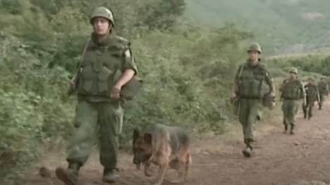 Vojska Jugoslavije.jpg