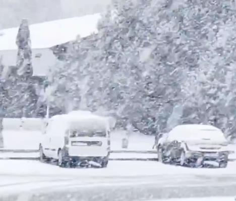 Screenshot 2025-04-11 090045.png