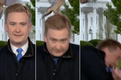 Screenshot 2025-04-14 143017.png