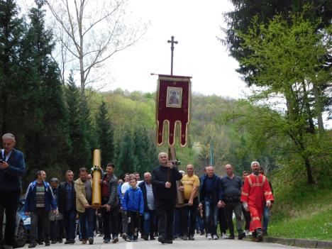 LOZNICA - Ratarske sveće.JPG