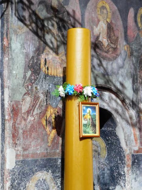 LOZNICA - Ratarska sveća.jpg