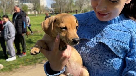 Sequence 10.01_46_55_04.Still009.jpg