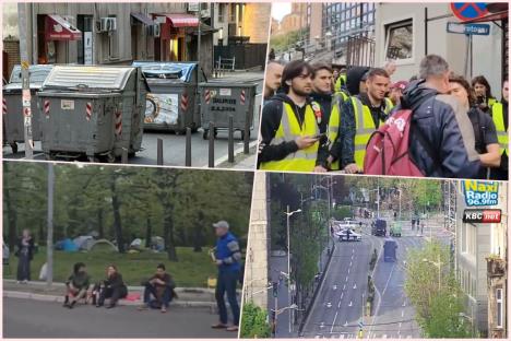 collage.jpg
