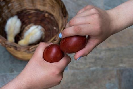 Kucanje jajima je tradicija za Vaskrs profimedia-0972588687.jpg