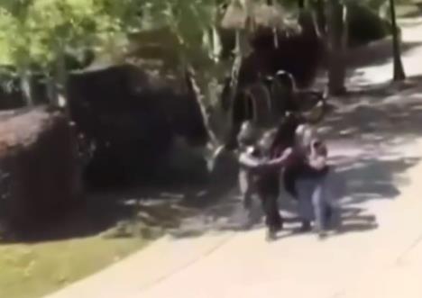 2025-04-18 07_58_14-Tallahassee reeling from FSU shooting_ Two dead, six injured - CBS Miami — Mozil.png