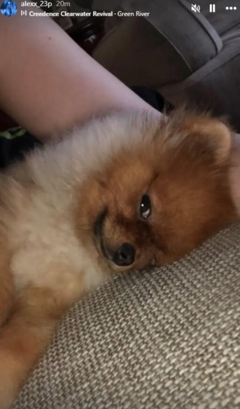 Oglasila se ćerka Saše Popovića