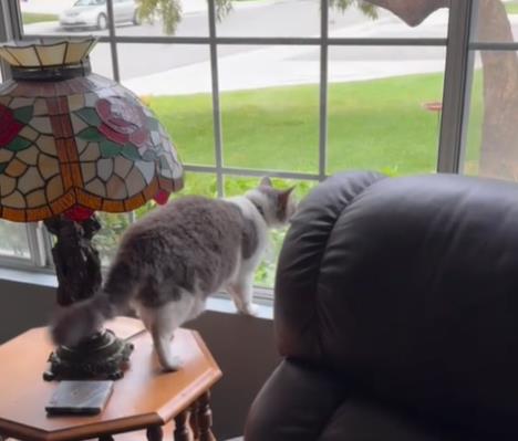 Snimak ekrana 2025-04-18 165313.jpg