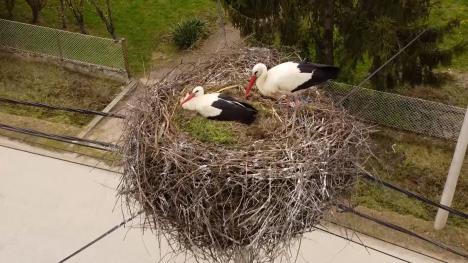 Sequence 04.00_01_07_02.Still001.jpg