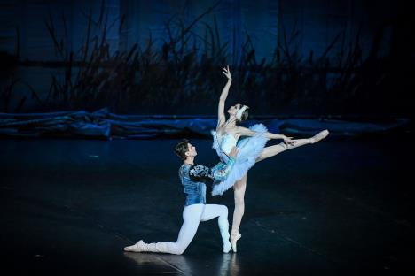 labudovo-jezero-foto Marija Erdelji.jpg