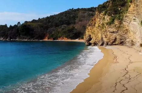 Screenshot 2025-04-29 105441.jpg