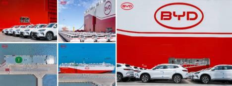 byd2.jpg