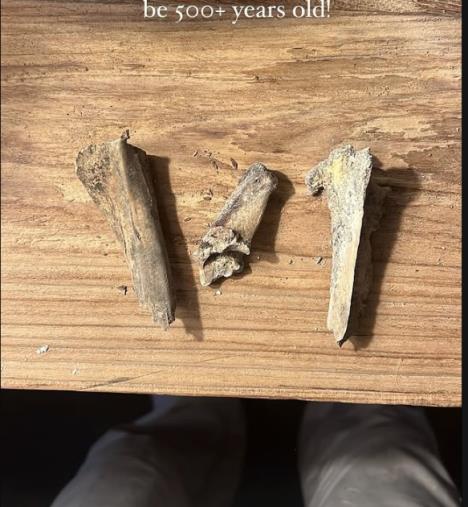 Screenshot 2025-04-29 125854.png