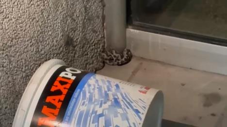 jutarnji clean.00_36_43_09.Still007.jpg