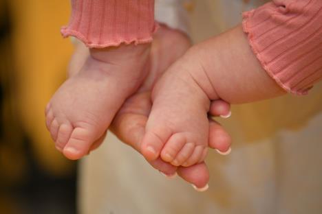 foto Gordana Živanović, Bgf u Bijeljini.jpg