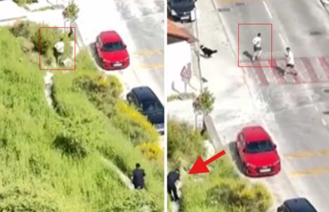 Screenshot 2025-05-03 124846.jpg