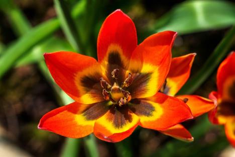 Kazna za branje – preko 1,9 miliona dinara profimedia-0993751724.jpg